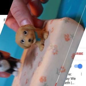 Meet your Posher, Luz